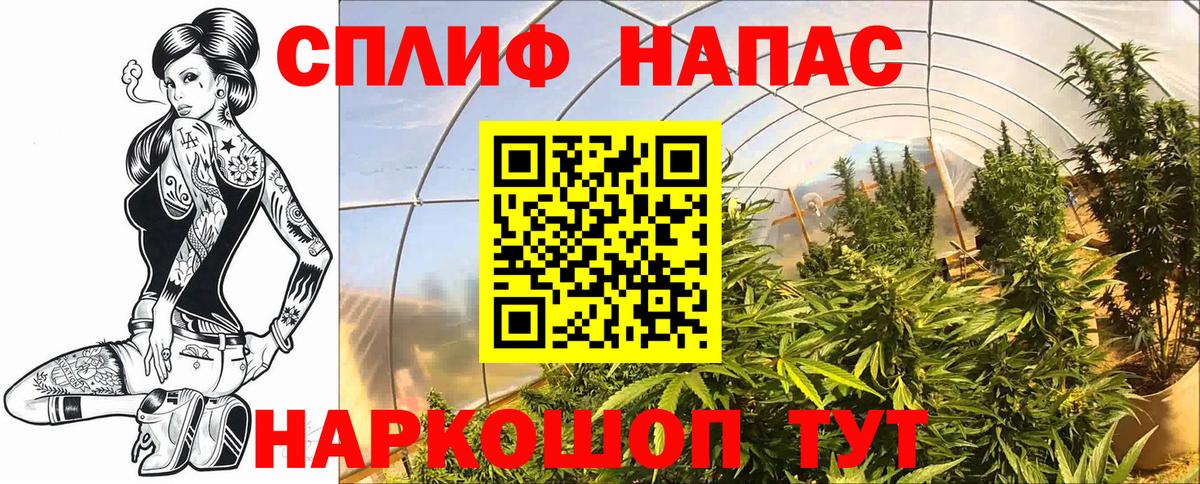 Каннабис план Туймазы